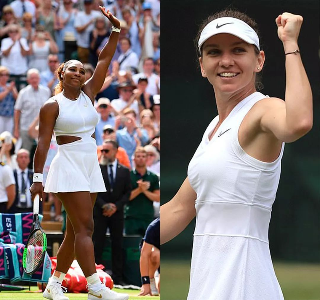 了极高的专 了极高的专